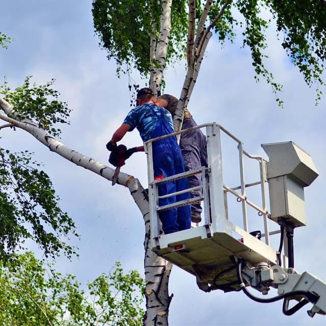 Contactar con TRB Servicios Integrales